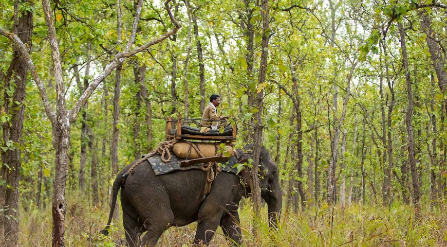 Elephant Ride