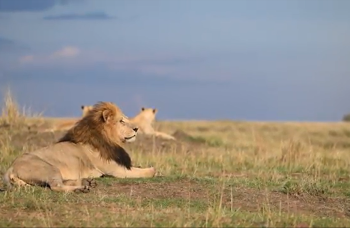 Screenshot 2025-09-11 021123