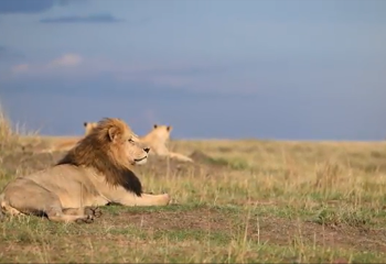 Screenshot 2025-09-11 021123