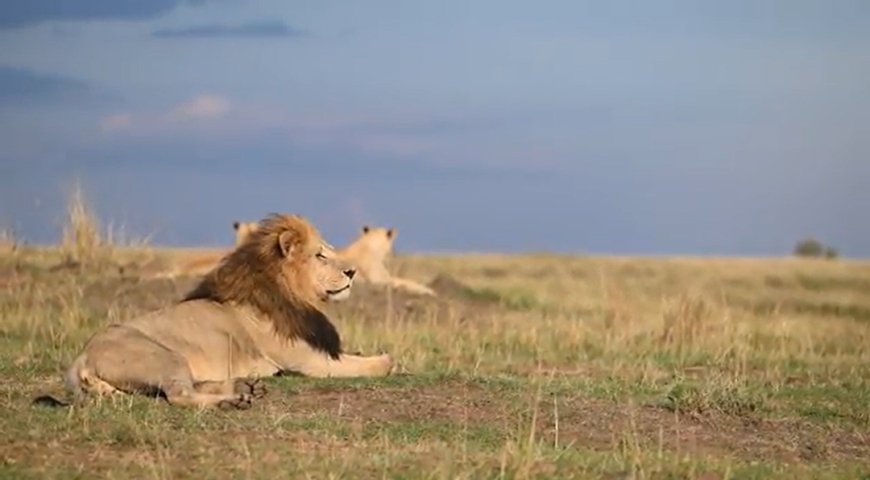 Screenshot 2025-09-11 021123