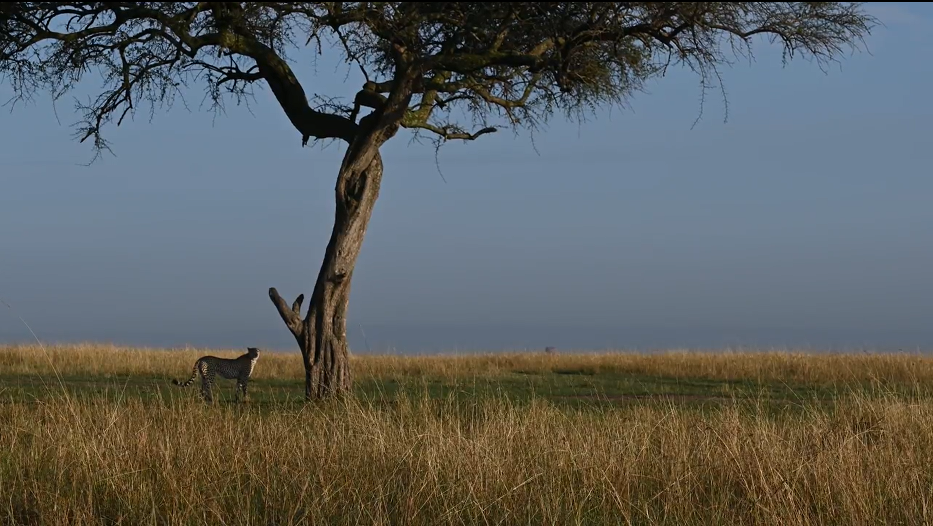 best time to visit Masai Mara